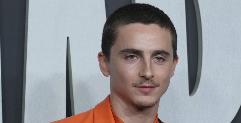 Timothée Chalamet/ Profimedia