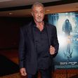 Sylvester Stallone/ Profimedia