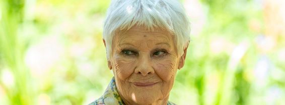 Judi Dench