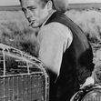 James Dean