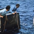 Jaws (1975) / Profimedia