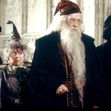 Miriam Margolyes în Harry Potter/ Profimedia