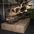 HBO Original Drama Series "House Of The Dragon" World Premiere