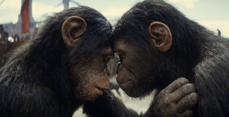 Kingdom of the Planet of the Apes