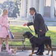 LEGALLY BLONDE 2