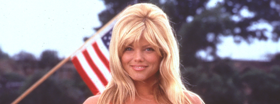 donna d errico baywatch