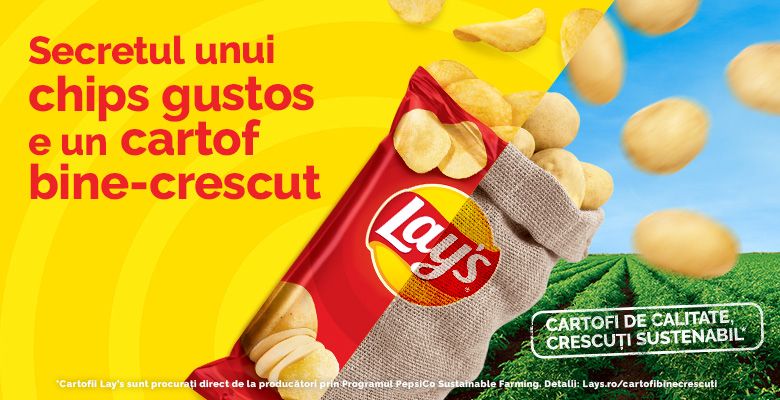 Cover_780x400 final