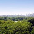 panorama central park