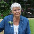 Judi Dench