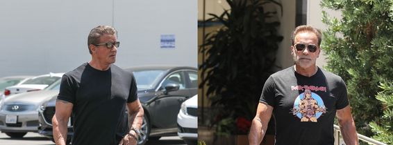 sly, arnold