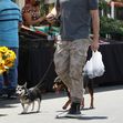 *EXCLUSIVE* Gerard Butler and Morgan Brown share a kiss at the Farmers Market