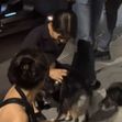 Zendaya / Foto: Captură video TikTok