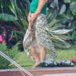 Jennifer Aniston și Adam Sandler au petrecut timp împreună în Hawaii/ Profimedia