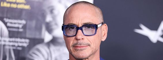 robert downey jr