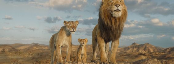 mufasa (2)