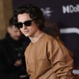 chalamet (4)