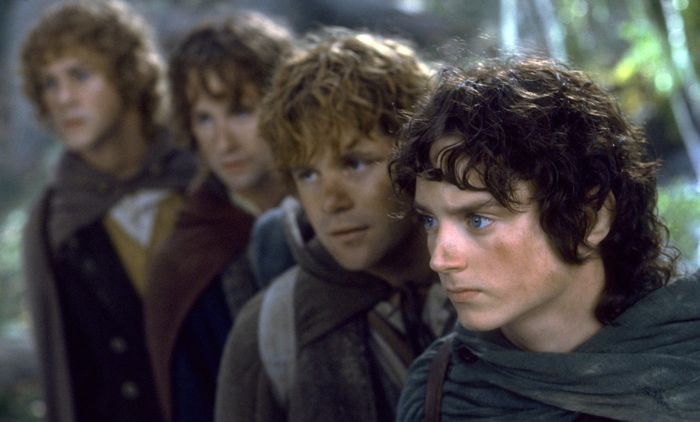 Lord Of The Rings: The Fellows (2001)