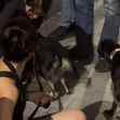 Zendaya / Foto: Captură video TikTok
