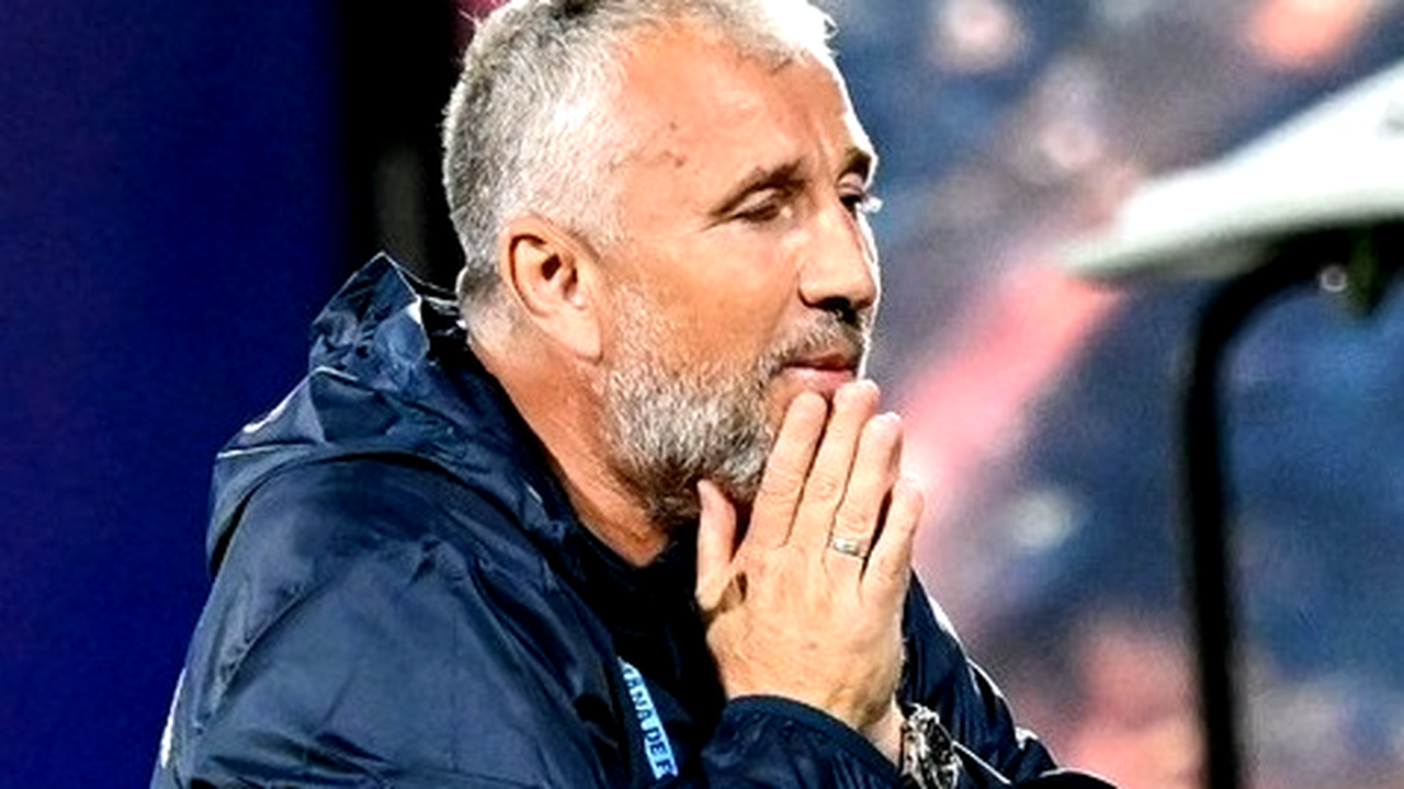 dan petrescu