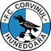 Corvinul