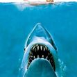 JAWS 800X1200