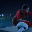 Anna Kendrick și Bill Hader au o relație secretă/ Profimedia