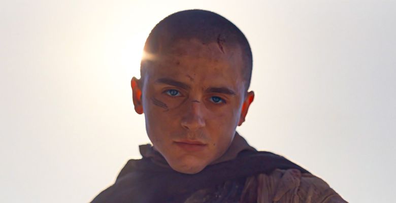 Timothée Chalamet/ Profimedia
