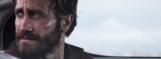 nocturnal-animals