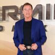 "Terminator: Dark Fate" - Photocall
