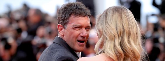 "Pain And Glory (Dolor Y Gloria/ Douleur et Gloire)" Red Carpet - The 72nd Annual Cannes Film Festival