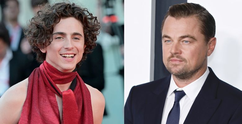 timothee chalamet si leonardo dicaprio