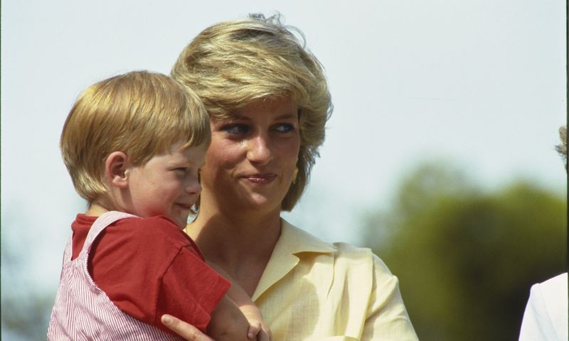 Prințesa Diana și prințul Harry