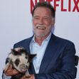 'Fubar' Season 2 Premiere, Los Angeles, California, USA - 11 Jun 2025