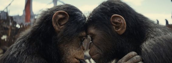 Kingdom of the Planet of the Apes
