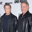Sylvester și Frank Stallone