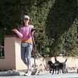 *EXCLUSIVE* Calista Flockhart can almost pass as a Professional Dog Walker