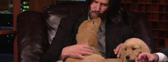 Keanu Reeves declares himself the Puppy King as he faces off against Jimmy Fallon in a game of Pup Quiz on The Tonight Show