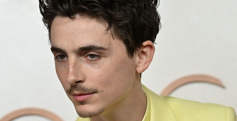 Timothée Chalamet/ Profimedia