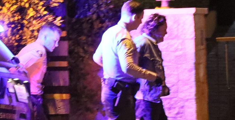 *PREMIUM-EXCLUSIVE* BREAKING NEWS: Michael Madsen gets arrested at his house in Malibu just a month after his son's death!