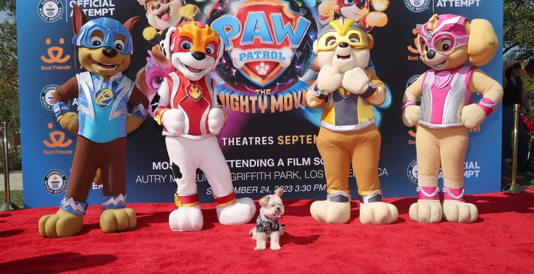 paw patrol