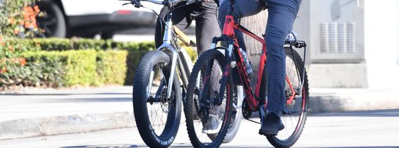 EXCLUSIVE: Arnold Schwarzenegger Shows Off His White Christmas Beard As He Chats With Fans And Takes Selfies During Morning Workout At Gold?s Gym In Venice, California - 21 Nov 2024