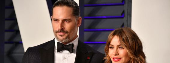 sofia vergara sot