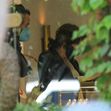 *EXCLUSIVE* Keanu Reeves goes out shopping for a possible engagement ring at Irene Neuwirth on Melrose Place