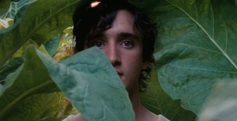 HappyAsLazzaro-Still1-actorAdrianoTardioloweb