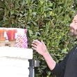 PREMIUM EXCLUSIVE Ben Affleck Emerges With Slicked Back Hair As He Retrieves His Breakfast Delivery