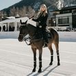Kate Hudson poses on a horse and with a giant dog at the St. Regis World Snow Polo Championship in Aspen, Colorado