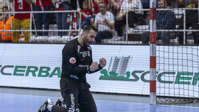 Saeid Heidarirad