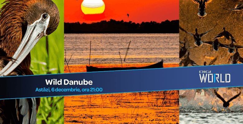 Vizual Wild Danube (2)