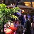 *EXCLUSIVE* Katy Perry and Orlando Bloom kiss Daisy onset of 'American Idol' in Hawaii
